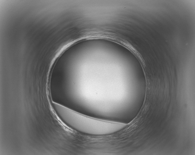 X0000056361485200508260933