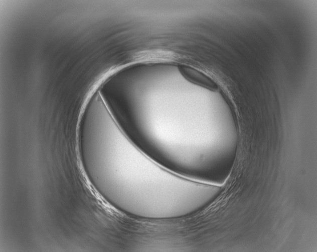 X0000056361488200508260933