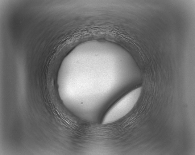X0000056361489200508260932