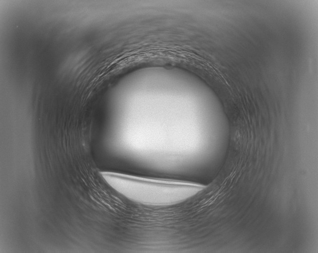 X0000056361490200508260932