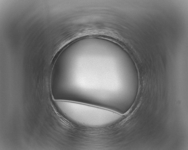 X0000056361505200508260932