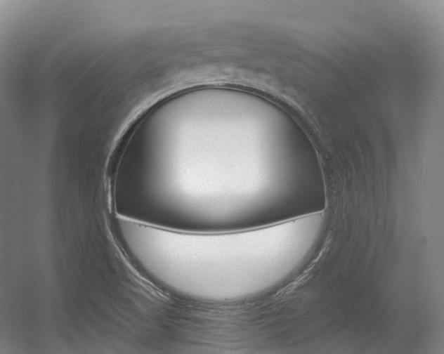 X0000056361509200508260932