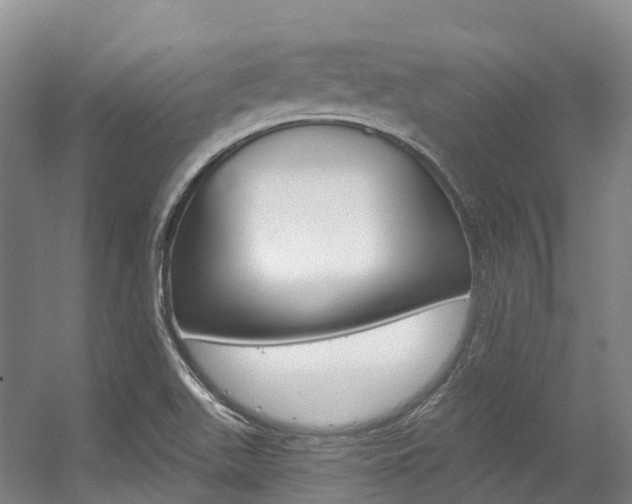 X0000056361511200508260932