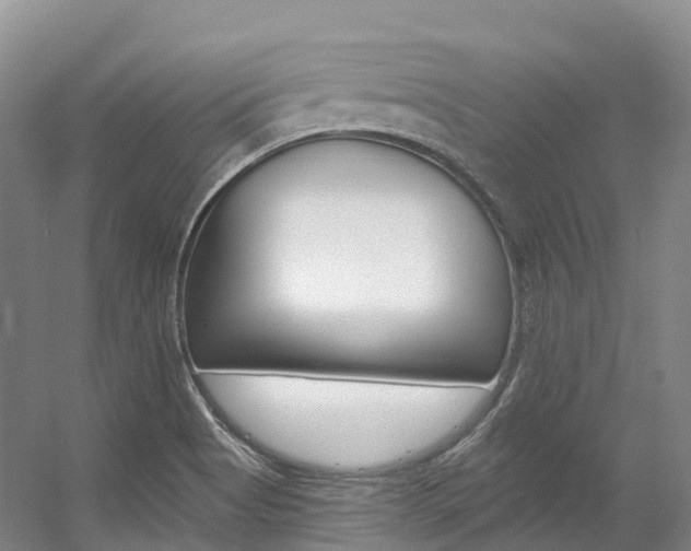 X0000056361513200508260932