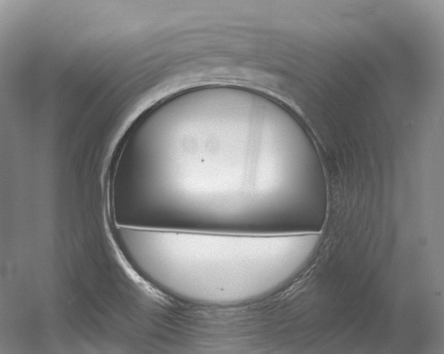 X0000056361515200508260932