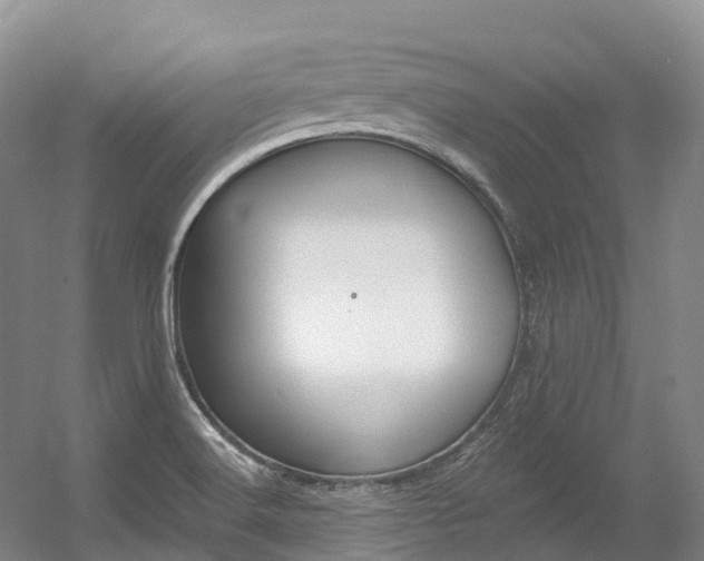 X0000056361516200508260932