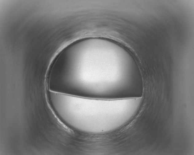 X0000056361517200508260932