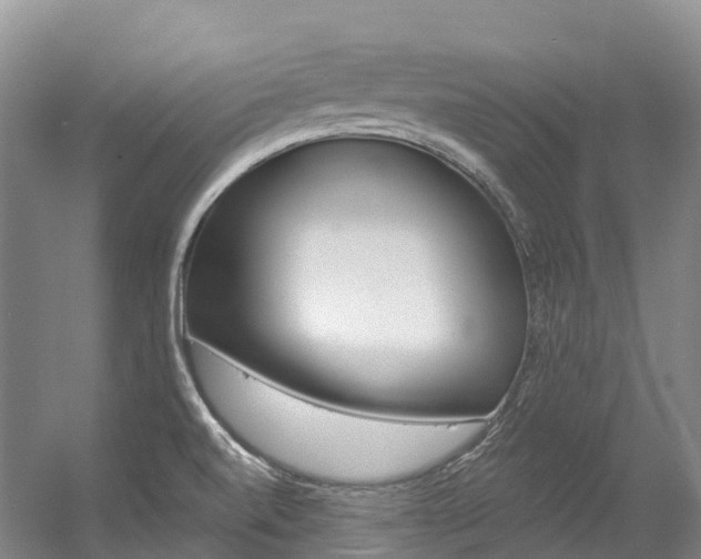 X0000056361520200508260932