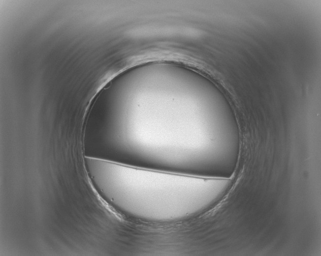 X0000056361521200508260932