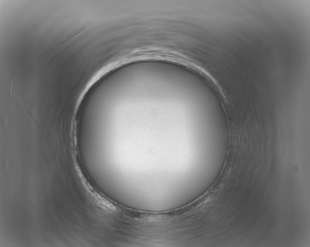 X0000056361522200508260933