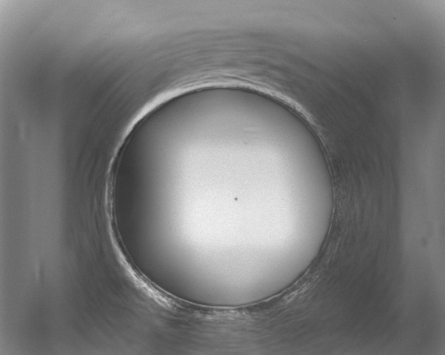 X0000056361526200508260933