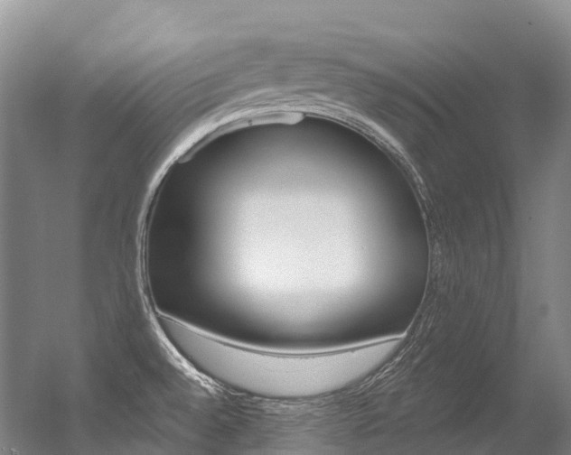 X0000056361528200508260933