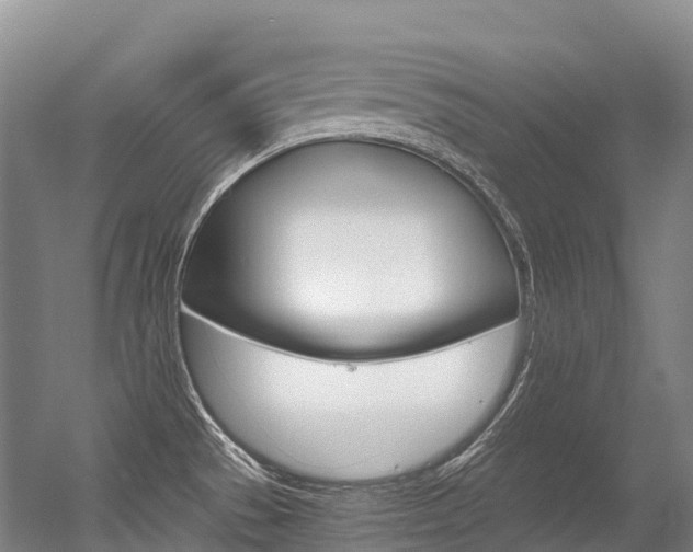 X0000056361529200508260933