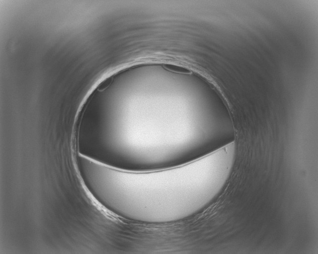 X0000056361531200508260933