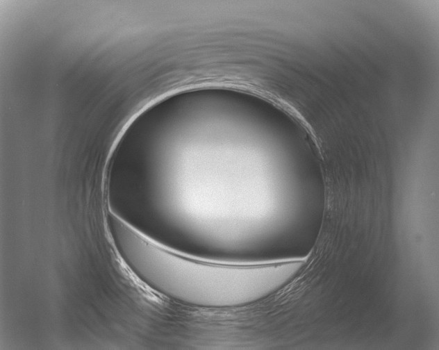 X0000056361532200508260933