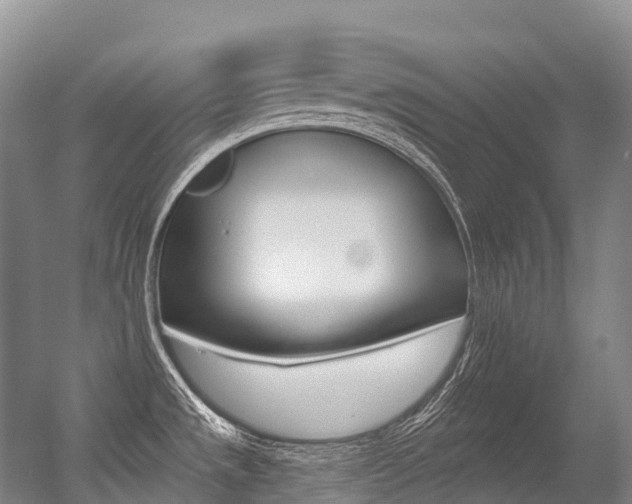 X0000056361533200508260933