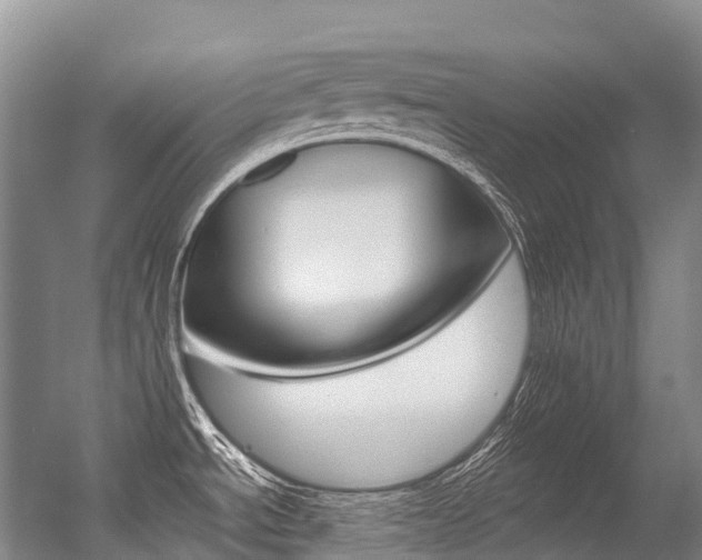 X0000056361534200508260933