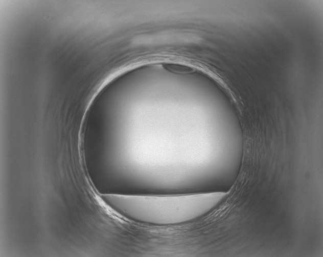X0000056361535200508260933