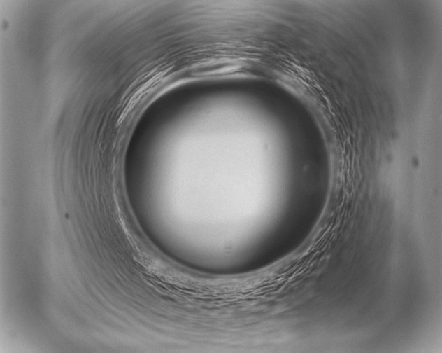 X0000056360001200508261349