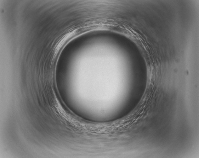 X0000056360003200508261349