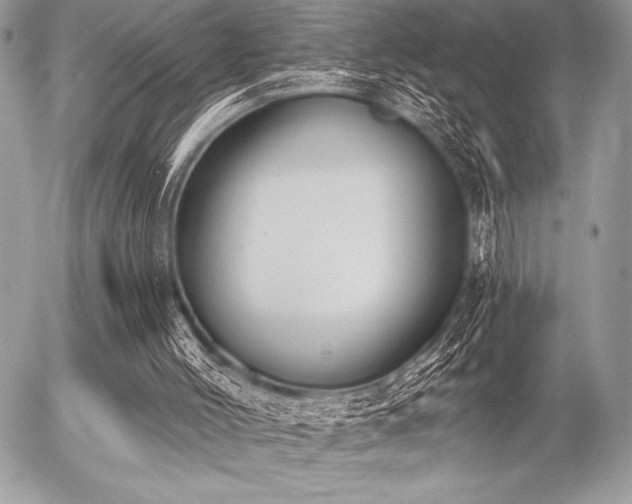 X0000056360004200508261349