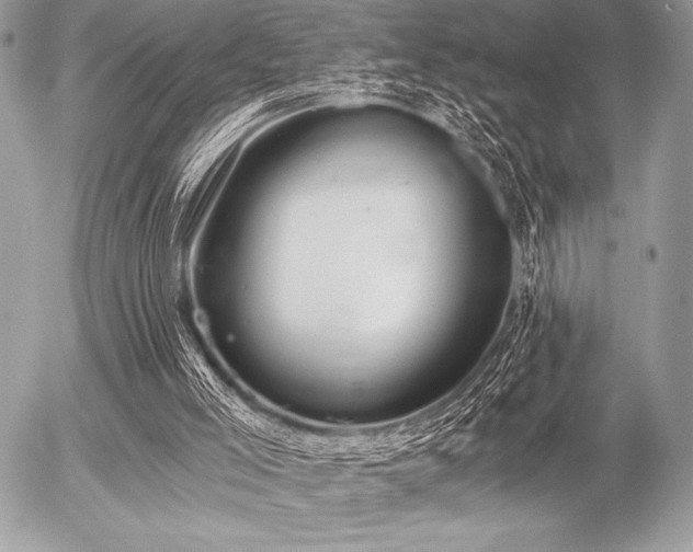 X0000056360005200508261349