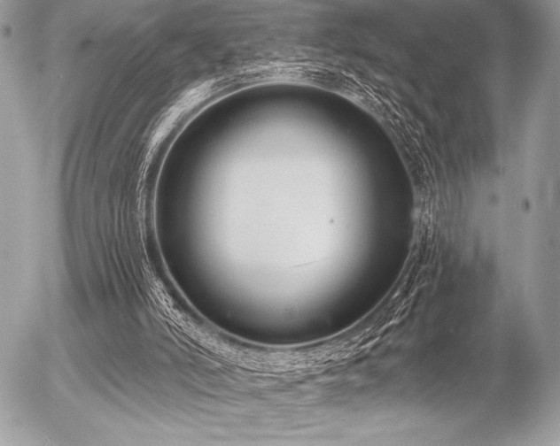 X0000056360006200508261349