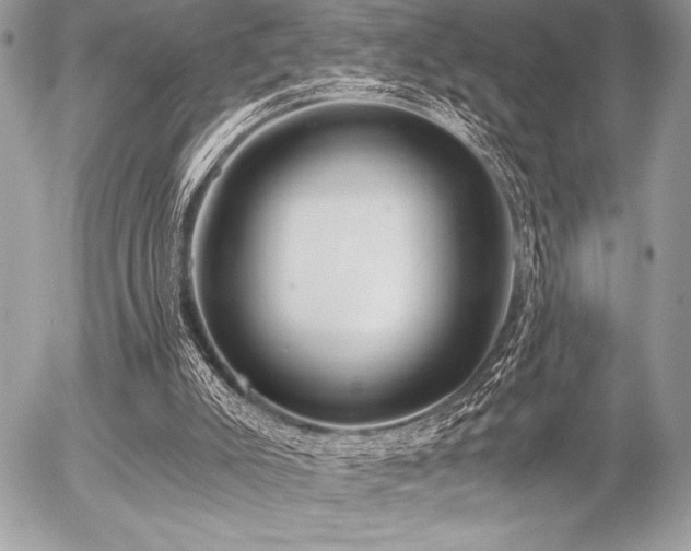 X0000056360007200508261349