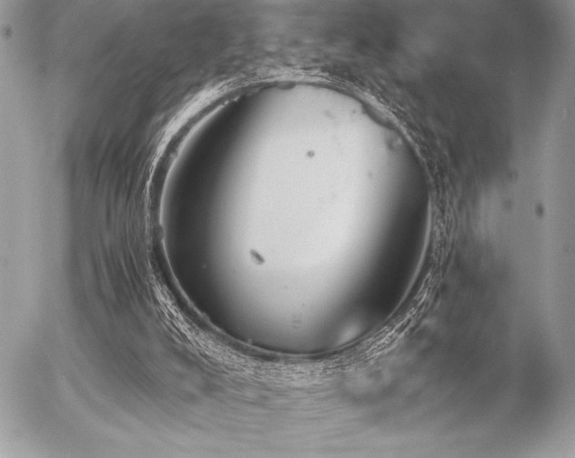 X0000056360008200508261349