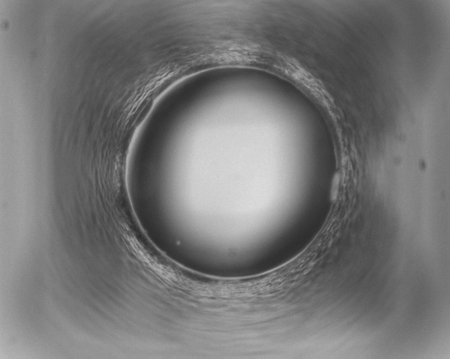 X0000056360009200508261349