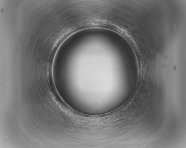 X0000056360010200508261349