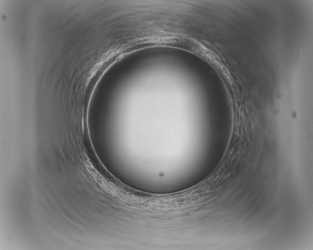 X0000056360011200508261349