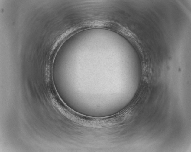 X0000056360012200508261349