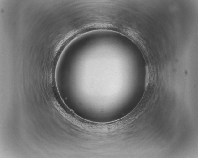 X0000056360015200508261349