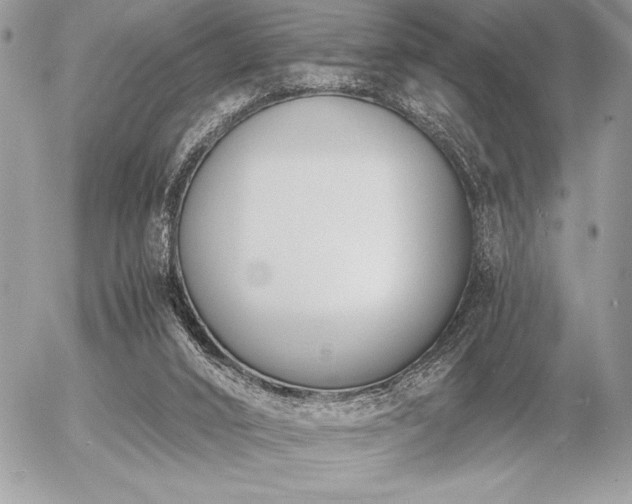 X0000056360016200508261349