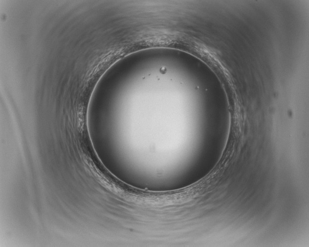 X0000056360017200508261349