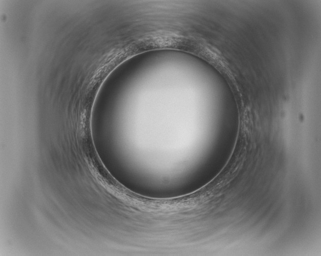 X0000056360018200508261349