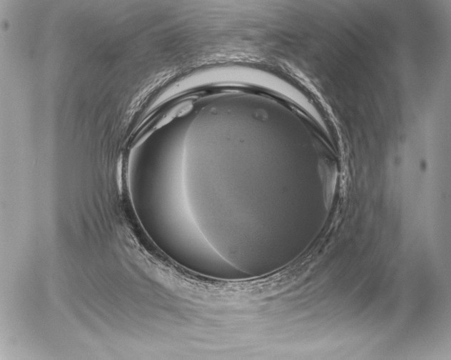 X0000056360019200508261349