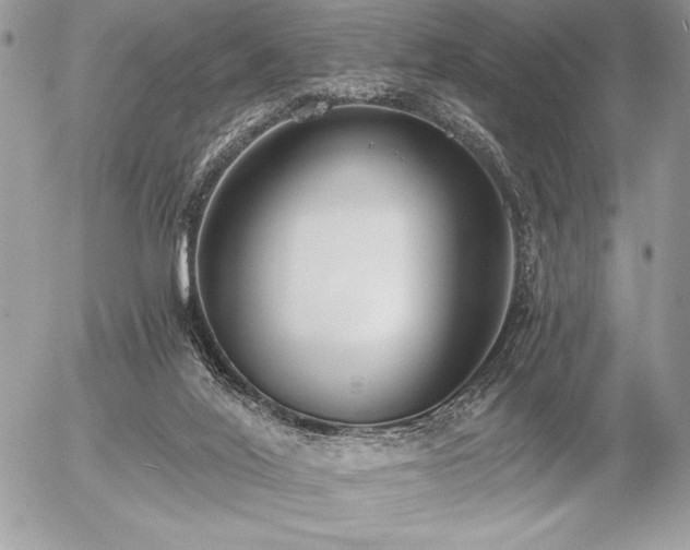 X0000056360020200508261349