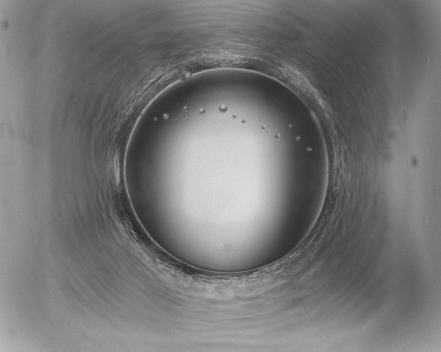 X0000056360021200508261349