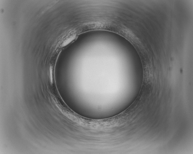 X0000056360022200508261349