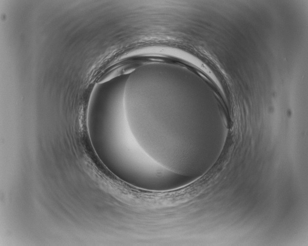 X0000056360023200508261349