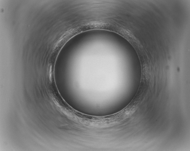 X0000056360024200508261349