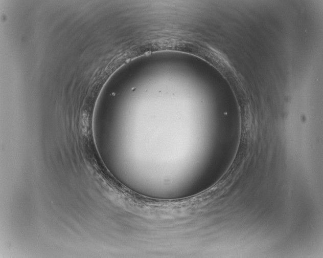 X0000056360025200508261349