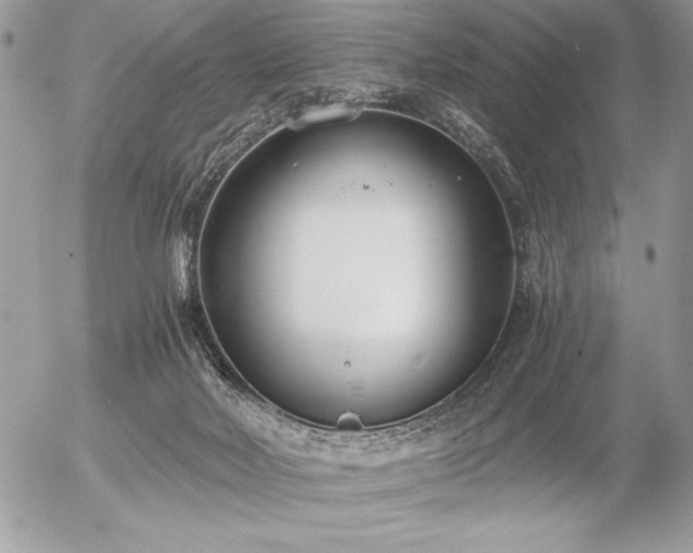 X0000056360026200508261349