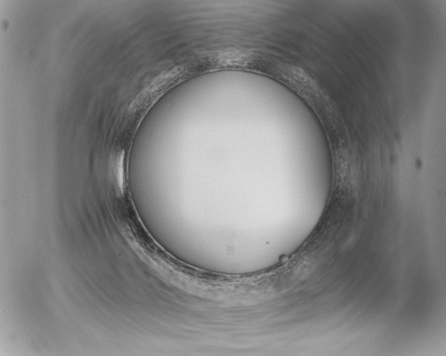 X0000056360028200508261349