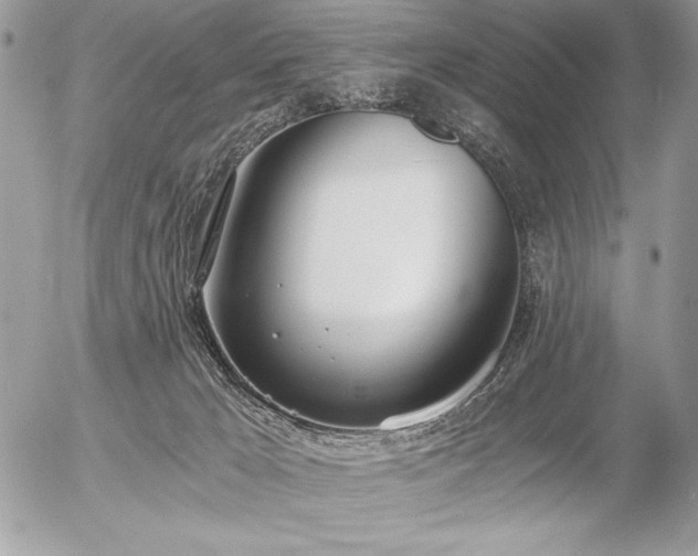 X0000056360029200508261349