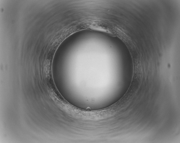 X0000056360030200508261349