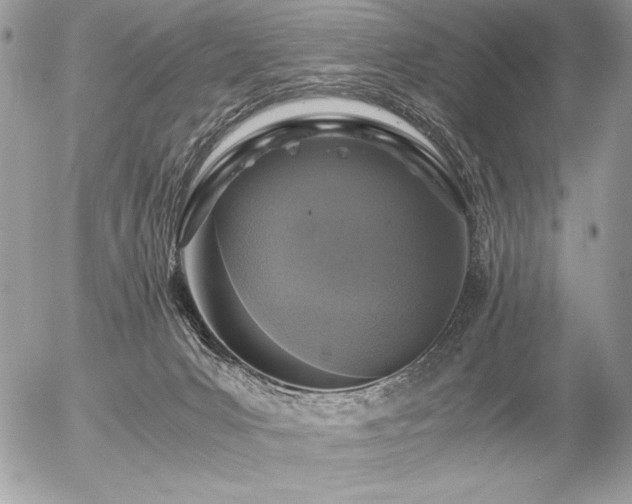 X0000056360031200508261349