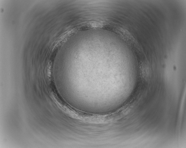 X0000056360032200508261349